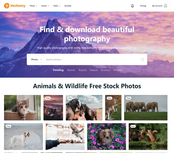 Vecteezy - free stock photos